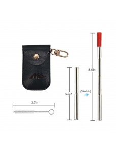 Stainless Steel Telescopic Straws w/PU Case